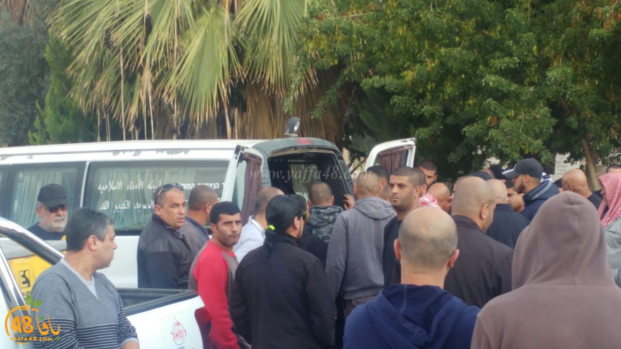 tashye3 abo kashef (2).jpg